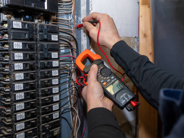 Best Electric Panel Repair  in Port Byron, NY